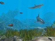 Arid Ocean screenshot